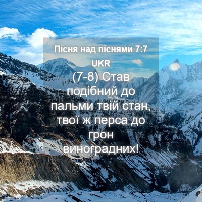Picture 04 - Пісня над піснями 7:7 UKR - (7-8) Став подібний до пальми - Bible Verse Picture
