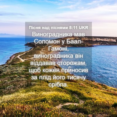 Picture 04 - Пісня над піснями 8:11 UKR - Виноградника мав Соломон у - Bible Verse Picture