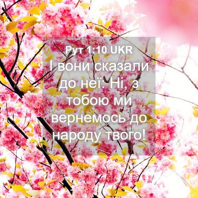 Picture 04 - Рут 1:10 UKR - І вони сказали до неї: Ні, з - Bible Verse Picture