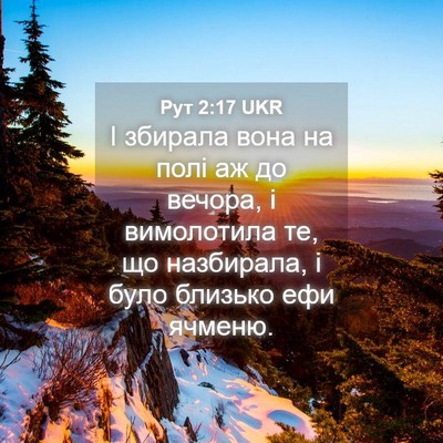 Picture 04 - Рут 2:17 UKR - І збирала вона на полі аж - Bible Verse Picture