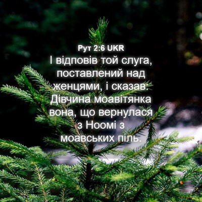 Picture 04 - Рут 2:6 UKR - І відповів той слуга, - Bible Verse Picture