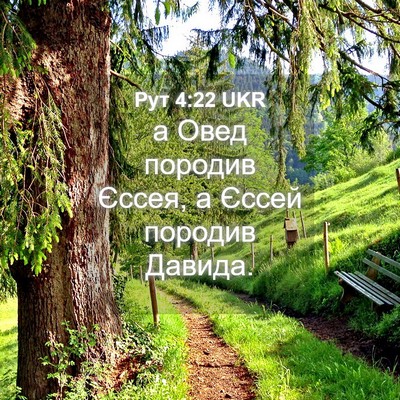 Picture 04 - Рут 4:22 UKR - а Овед породив Єссея, а - Bible Verse Picture