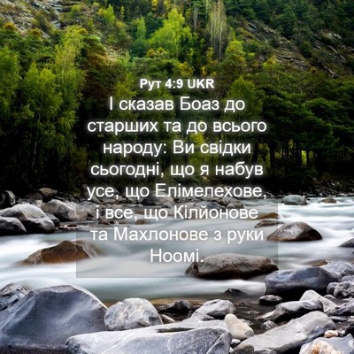 Picture 04 - Рут 4:9 UKR - І сказав Боаз до старших та - Bible Verse Picture