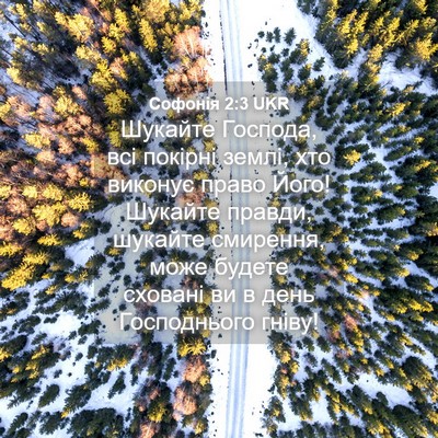 Picture 04 - Софонія 2:3 UKR - Шукайте Господа, всі - Bible Verse Picture