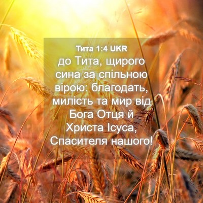 Picture 04 - Тита 1:4 UKR - до Тита, щирого сина за - Bible Verse Picture