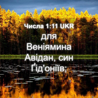 Picture 04 - Числа 1:11 UKR - для Веніямина Авідан, син - Bible Verse Picture