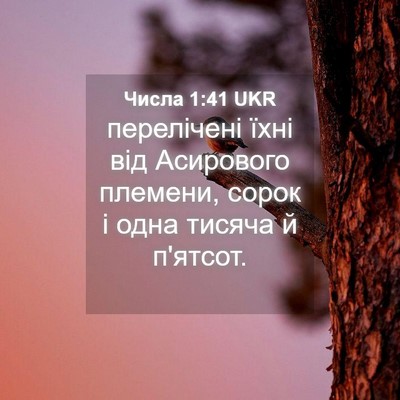 Picture 04 - Числа 1:41 UKR - перелічені їхні від - Bible Verse Picture