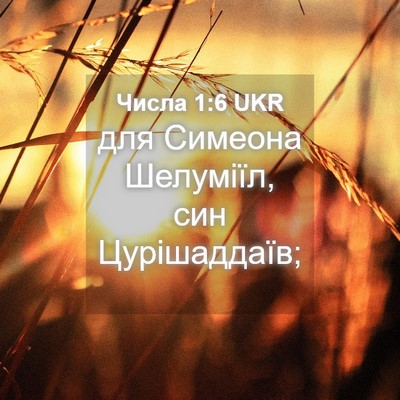 Picture 04 - Числа 1:6 UKR - для Симеона Шелуміїл, син - Bible Verse Picture