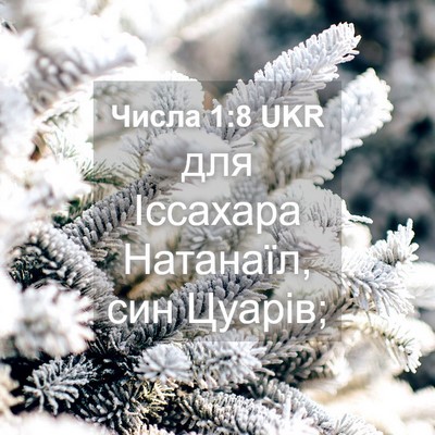 Picture 04 - Числа 1:8 UKR - для Іссахара Натанаїл, син - Bible Verse Picture