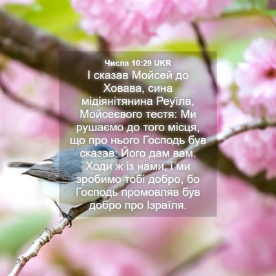 Picture 04 - Числа 10:29 UKR - І сказав Мойсей до Ховава, - Bible Verse Picture