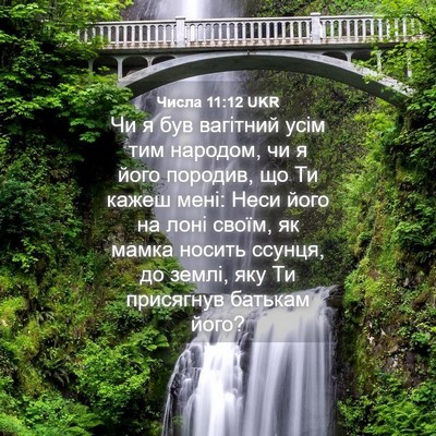 Picture 04 - Числа 11:12 UKR - Чи я був вагітний усім тим - Bible Verse Picture