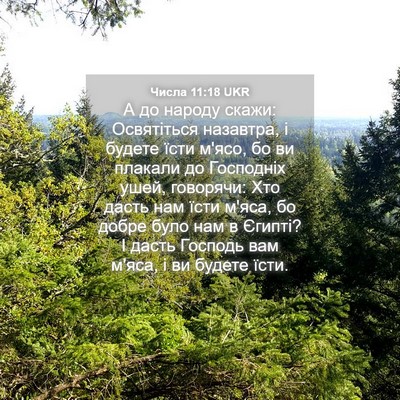 Picture 04 - Числа 11:18 UKR - А до народу скажи: - Bible Verse Picture