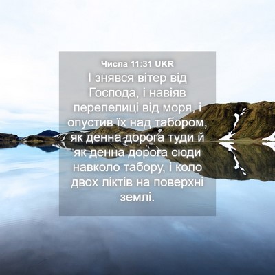 Picture 04 - Числа 11:31 UKR - І знявся вітер від Господа, - Bible Verse Picture