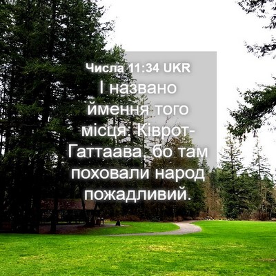 Picture 04 - Числа 11:34 UKR - І названо ймення того - Bible Verse Picture
