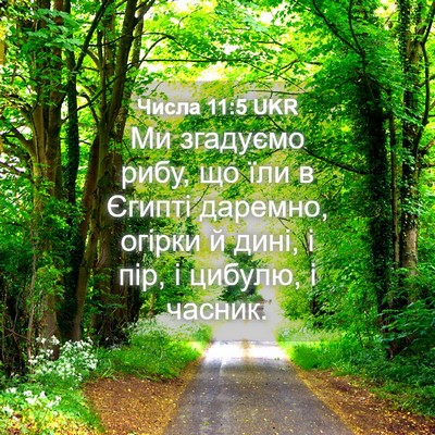 Picture 04 - Числа 11:5 UKR - Ми згадуємо рибу, що їли в - Bible Verse Picture