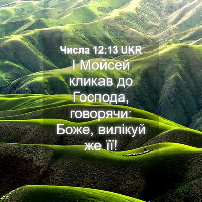 Picture 04 - Числа 12:13 UKR - І Мойсей кликав до Господа, - Bible Verse Picture