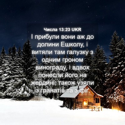 Picture 04 - Числа 13:23 UKR - І прибули вони аж до долини - Bible Verse Picture