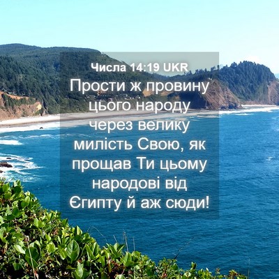Picture 04 - Числа 14:19 UKR - Прости ж провину цього - Bible Verse Picture