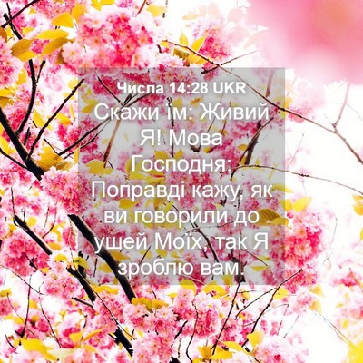 Picture 04 - Числа 14:28 UKR - Скажи їм: Живий Я! Мова - Bible Verse Picture