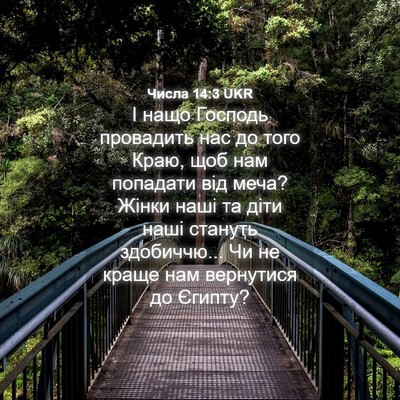 Picture 04 - Числа 14:3 UKR - І нащо Господь провадить - Bible Verse Picture