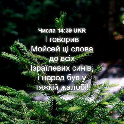 Picture 04 - Числа 14:39 UKR - І говорив Мойсей ці слова - Bible Verse Picture