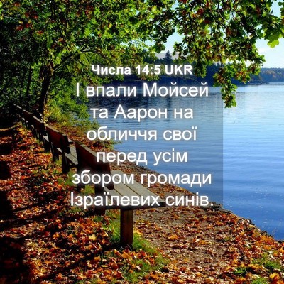 Picture 04 - Числа 14:5 UKR - І впали Мойсей та Аарон на - Bible Verse Picture