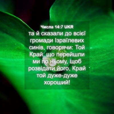 Picture 04 - Числа 14:7 UKR - та й сказали до всієї - Bible Verse Picture