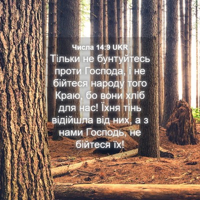 Picture 04 - Числа 14:9 UKR - Тільки не бунтуйтесь проти - Bible Verse Picture