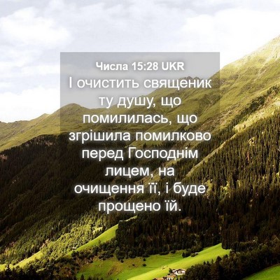 Picture 04 - Числа 15:28 UKR - І очистить священик ту - Bible Verse Picture