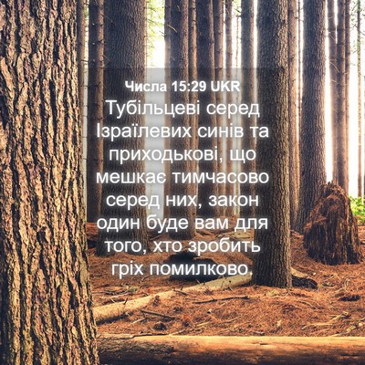 Picture 04 - Числа 15:29 UKR - Тубільцеві серед - Bible Verse Picture