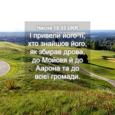 Picture 04 - Числа 15:33 UKR - І привели його ті, хто - Bible Verse Picture