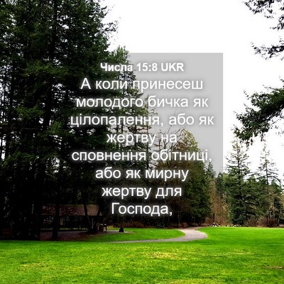 Picture 04 - Числа 15:8 UKR - А коли принесеш молодого - Bible Verse Picture