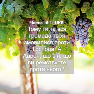 Picture 04 - Числа 16:11 UKR - Тому ти та вся громада твоя - Bible Verse Picture