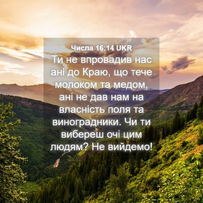 Picture 04 - Числа 16:14 UKR - Ти не впровадив нас ані до - Bible Verse Picture