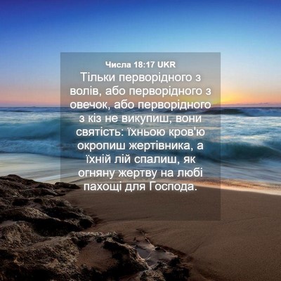Picture 04 - Числа 18:17 UKR - Тільки перворідного з - Bible Verse Picture