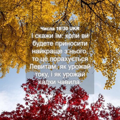 Picture 04 - Числа 18:30 UKR - І скажи їм: коли ви будете - Bible Verse Picture