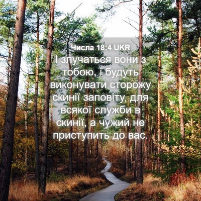 Picture 04 - Числа 18:4 UKR - І злучаться вони з тобою, і - Bible Verse Picture