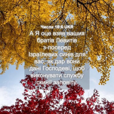 Picture 04 - Числа 18:6 UKR - А Я оце взяв ваших братів - Bible Verse Picture