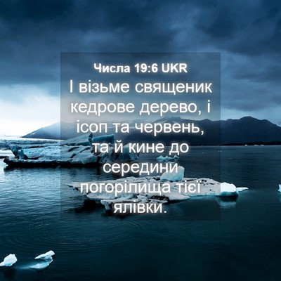 Picture 04 - Числа 19:6 UKR - І візьме священик кедрове - Bible Verse Picture