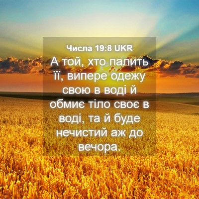 Picture 04 - Числа 19:8 UKR - А той, хто палить її, випере - Bible Verse Picture