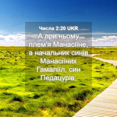 Picture 04 - Числа 2:20 UKR - А при ньому плем'я - Bible Verse Picture