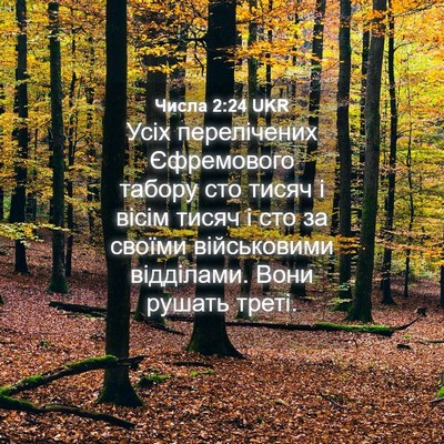 Picture 04 - Числа 2:24 UKR - Усіх перелічених - Bible Verse Picture