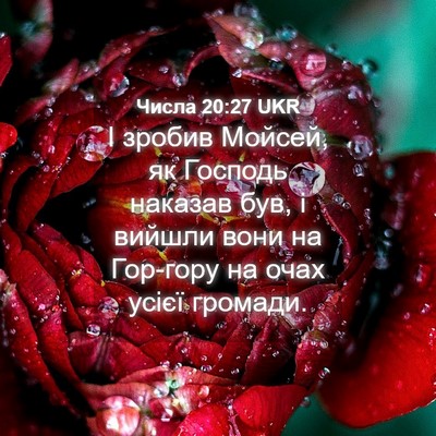Picture 04 - Числа 20:27 UKR - І зробив Мойсей, як Господь - Bible Verse Picture
