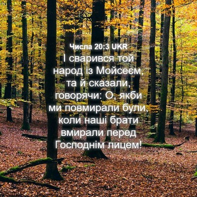 Picture 04 - Числа 20:3 UKR - І сварився той народ із - Bible Verse Picture
