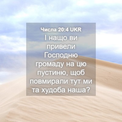 Picture 04 - Числа 20:4 UKR - І нащо ви привели Господню - Bible Verse Picture