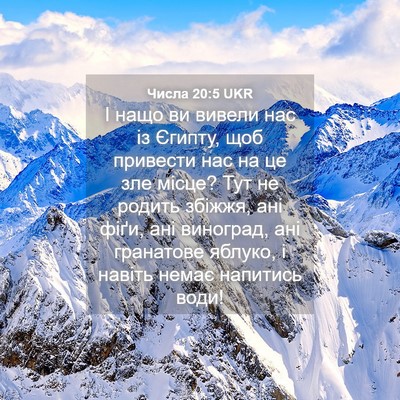 Picture 04 - Числа 20:5 UKR - І нащо ви вивели нас із - Bible Verse Picture