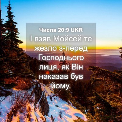 Picture 04 - Числа 20:9 UKR - І взяв Мойсей те жезло - Bible Verse Picture
