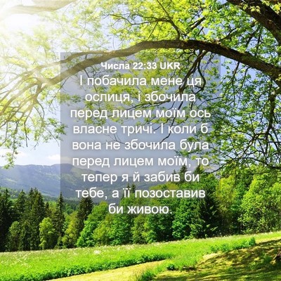 Picture 04 - Числа 22:33 UKR - І побачила мене ця ослиця, - Bible Verse Picture