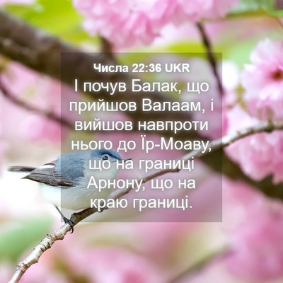 Picture 04 - Числа 22:36 UKR - І почув Балак, що прийшов - Bible Verse Picture
