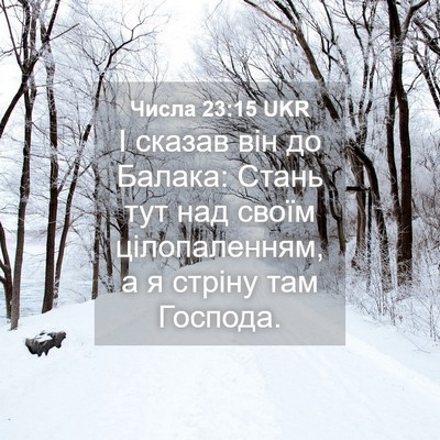 Picture 04 - Числа 23:15 UKR - І сказав він до Балака: - Bible Verse Picture